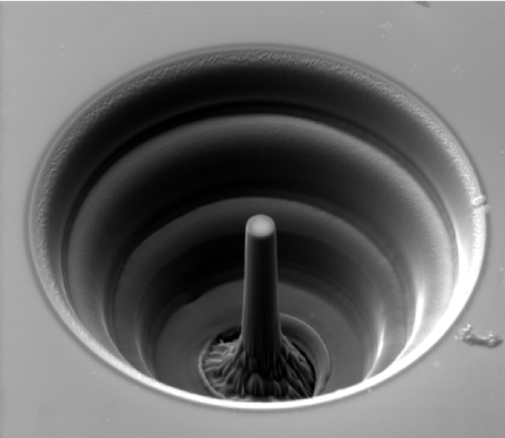 NanoManipulator (1) (1)