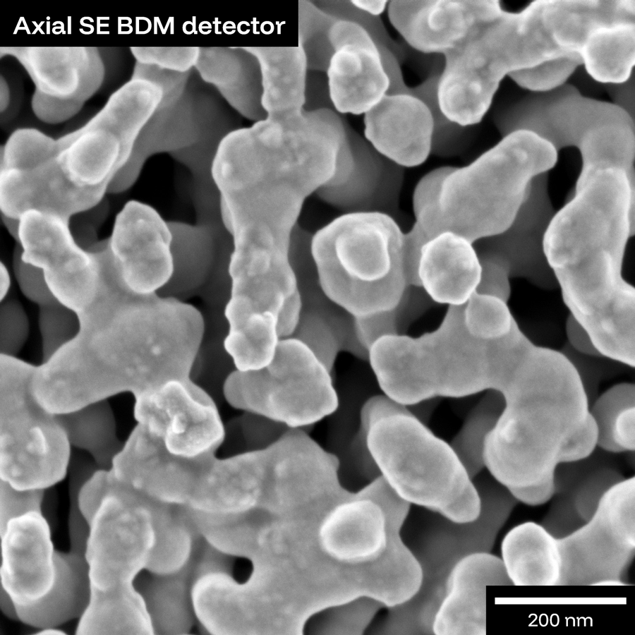 Resolve individual nanoparticles — without metal coating, true size, real distribution.