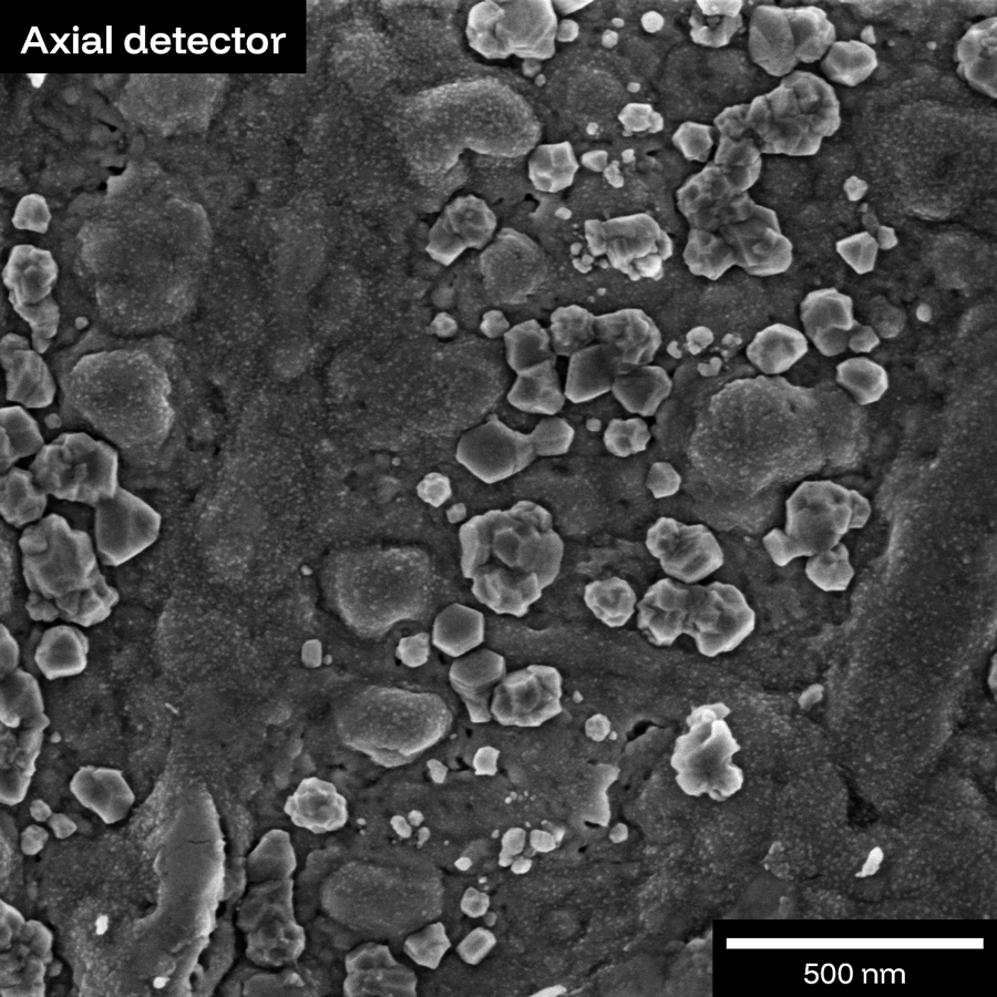Field-free objective images magnetic samples without distortion; steels, NdFeB, and soft alloys at full resolution.