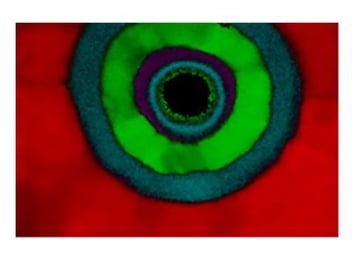 integrated-4d-stem-detector-materials-science-workflows