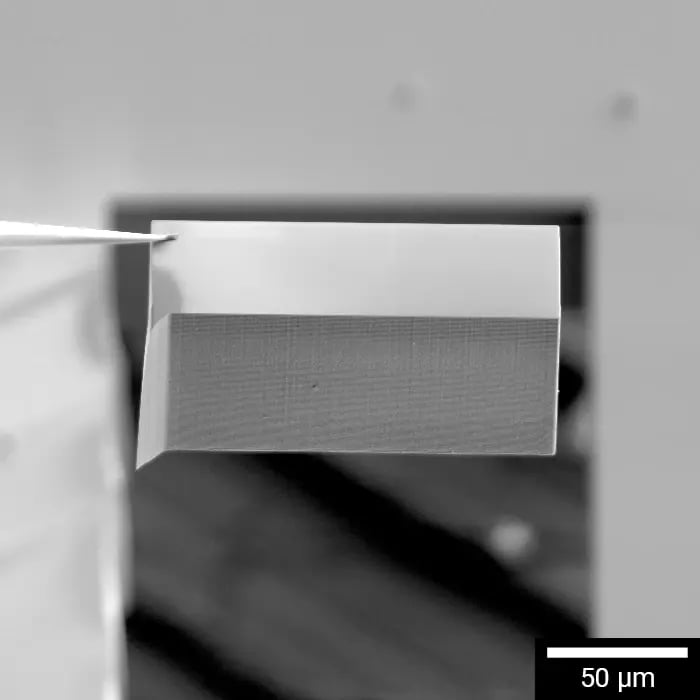 Packaging-L2-deep-setioning-img-700x700px-scalebar3_1x