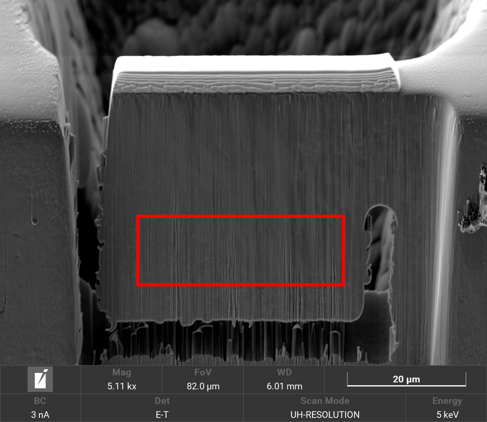 Pre-cutted selected area from sample before final thinning-2