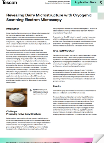 Revealing Dairy Microstructure with Cryogenic Scanning Electron Microscopy
