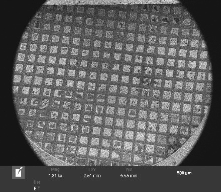 SEM overview of a TEM grid mounted in a cryo-holder, showing grid layout before cryo-FIB processing.
