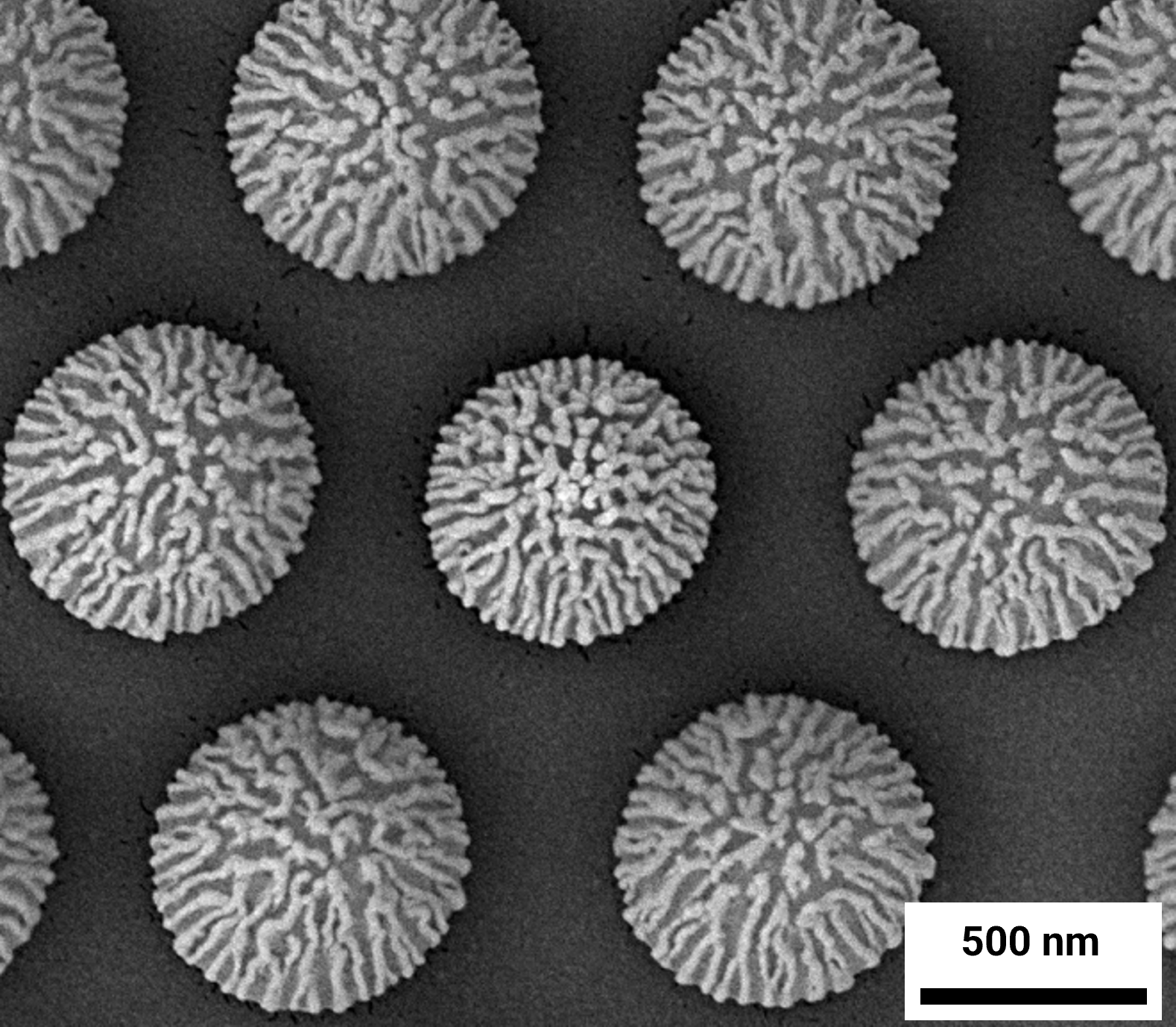 SERS active substrates imaging