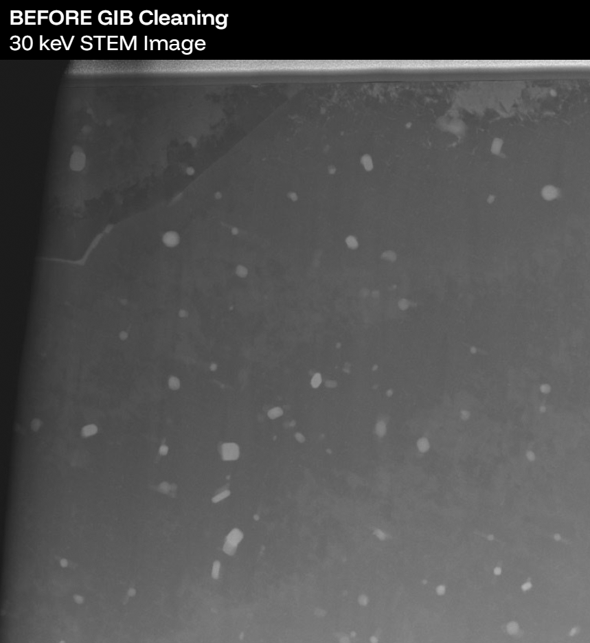 STEM-imaging-02
