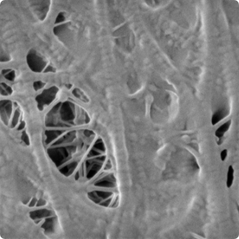 Separator_400V_8pA_12