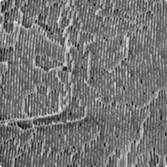 Silica_500V_10pA_Axial_13_DCFA cross kopie