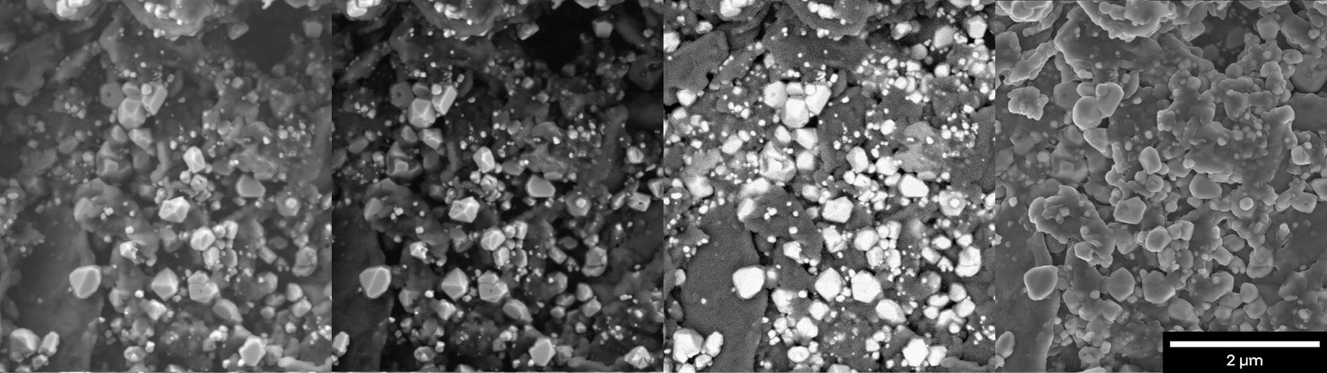 Simultaneous UHR SE and BSE Imaging-scalebar