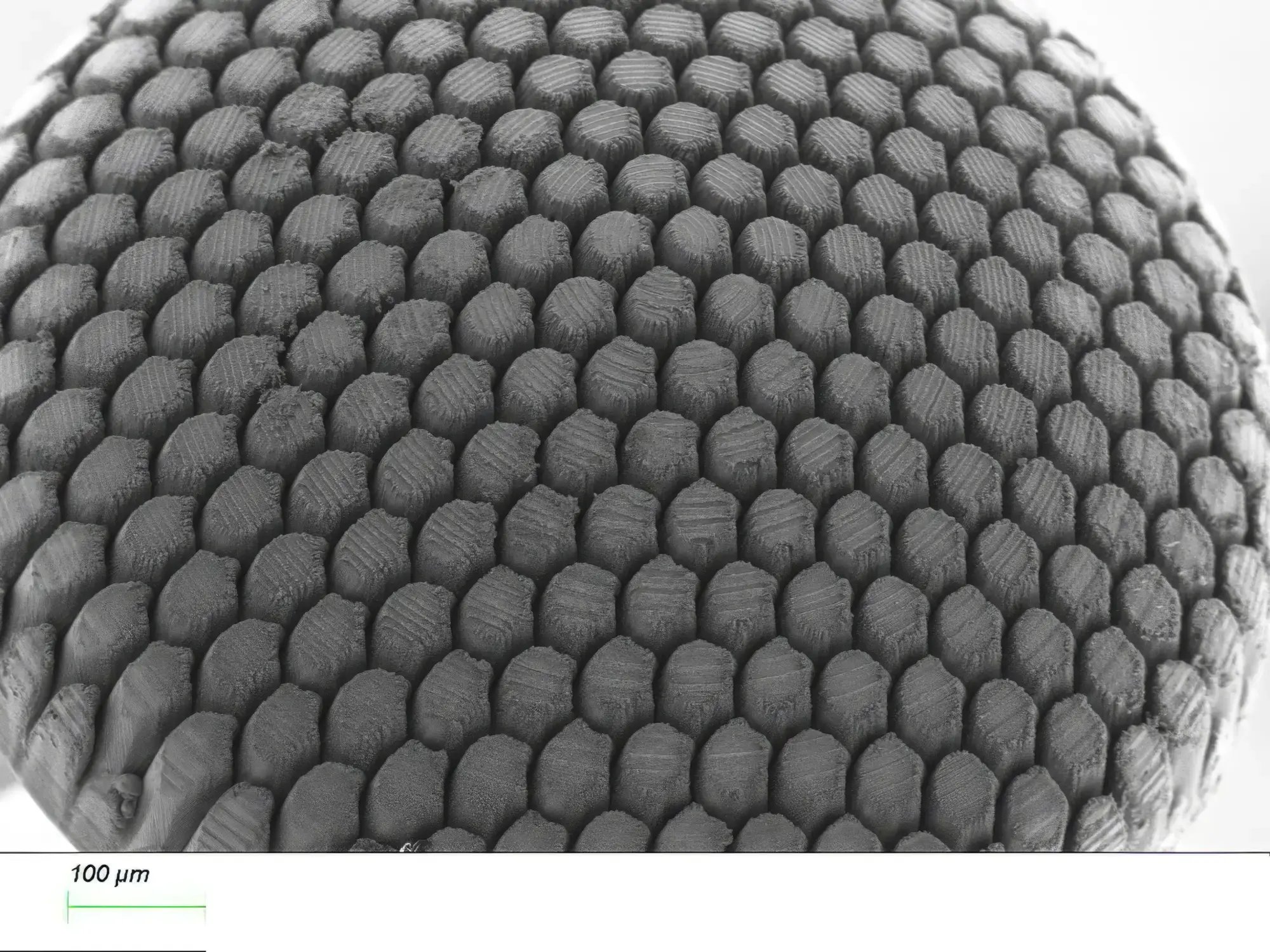 Surface texturing