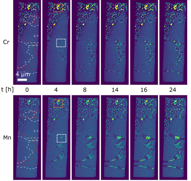 Time-Resolved Elemental Maps During Heating