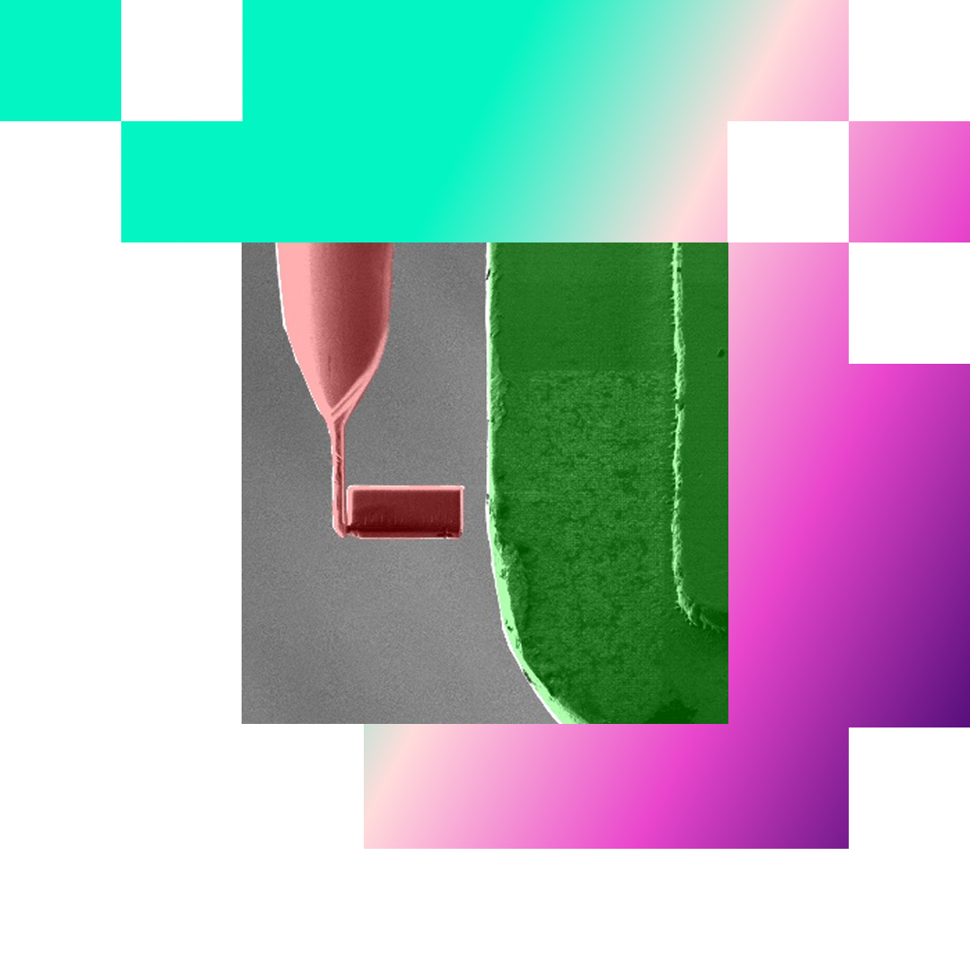 TEM-AutoPrep-hero-desktop
