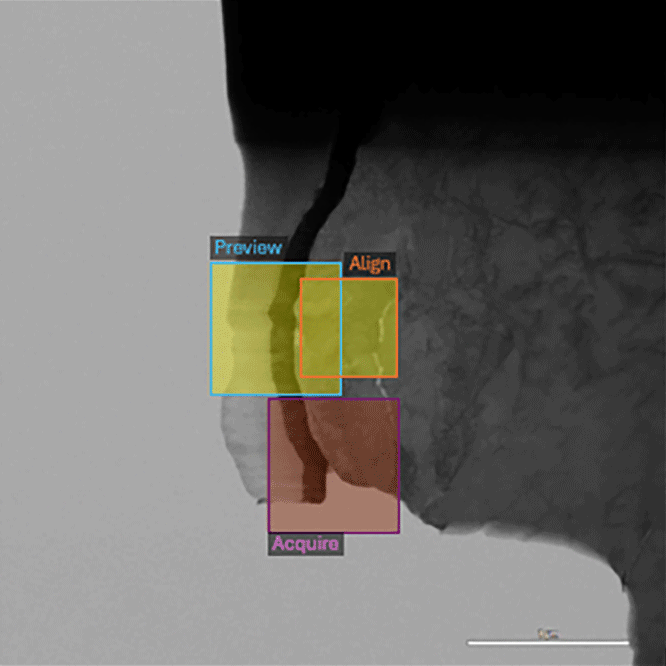 TENSOR-Cryo-holder-Low-Dose-STEM-Procedures-v01
