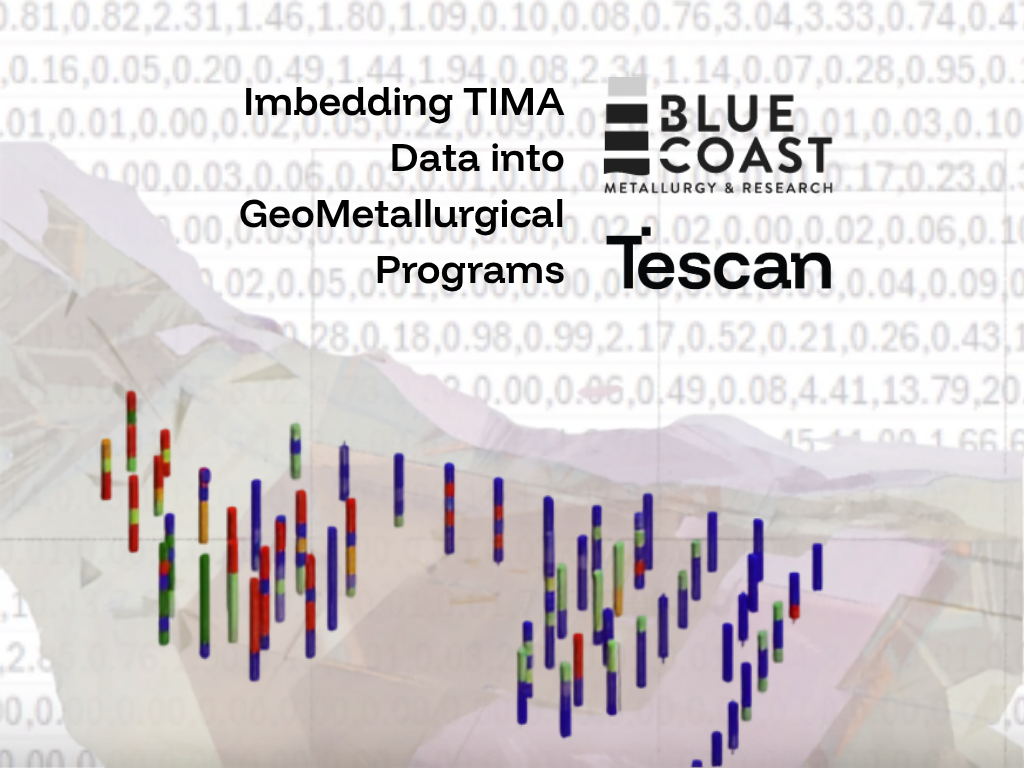 TIMA webinar (1)