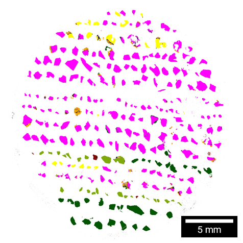 Mount containing indicator minerals.