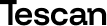 Tescan(Logo)
