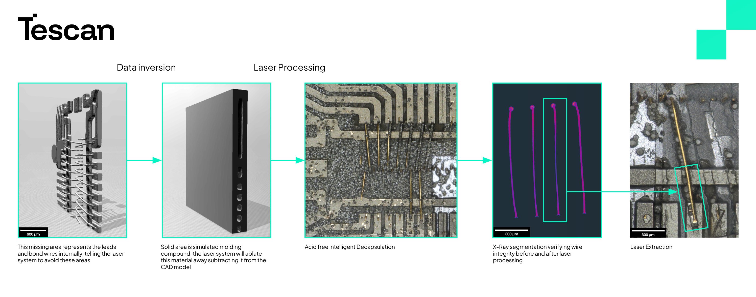 Tescan-FemtoChisel work process