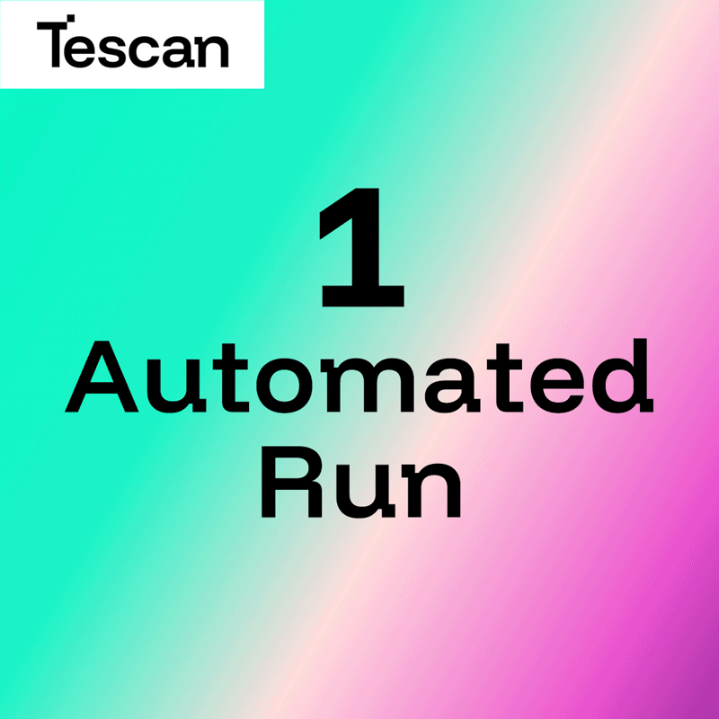 Tescan-Orage-2-lamella-grid-v04-opt