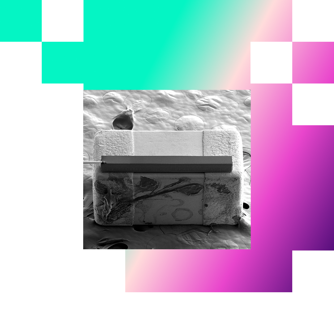 True-X-Sectioning-hero-desktop-v02