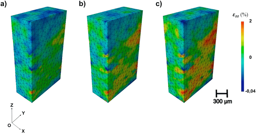 Visualization of Z-axial strain in the samples