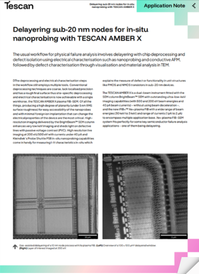Xe+ plasma FIB-SEM AMBER X 2
