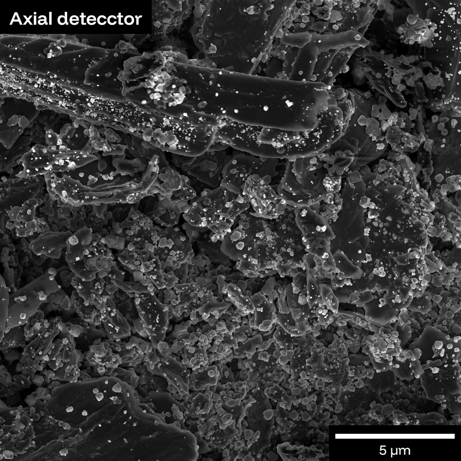 MultiDetector™ + Axial + Chamber BSE: each detector sits at a different take-off angle, each captures a different contrast.