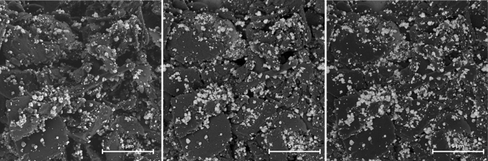 ZnS_Graphene_3keV_LE_BSE_MD_f-BSE_50eV_20um_ 3
