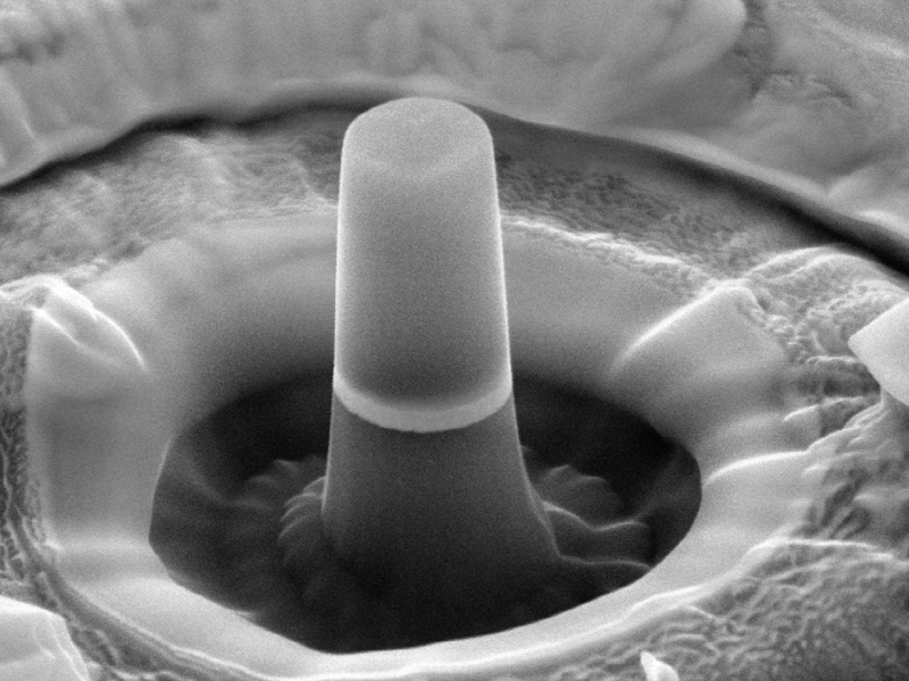 OEM-compatible Cobra FIB column designed for UHV environments