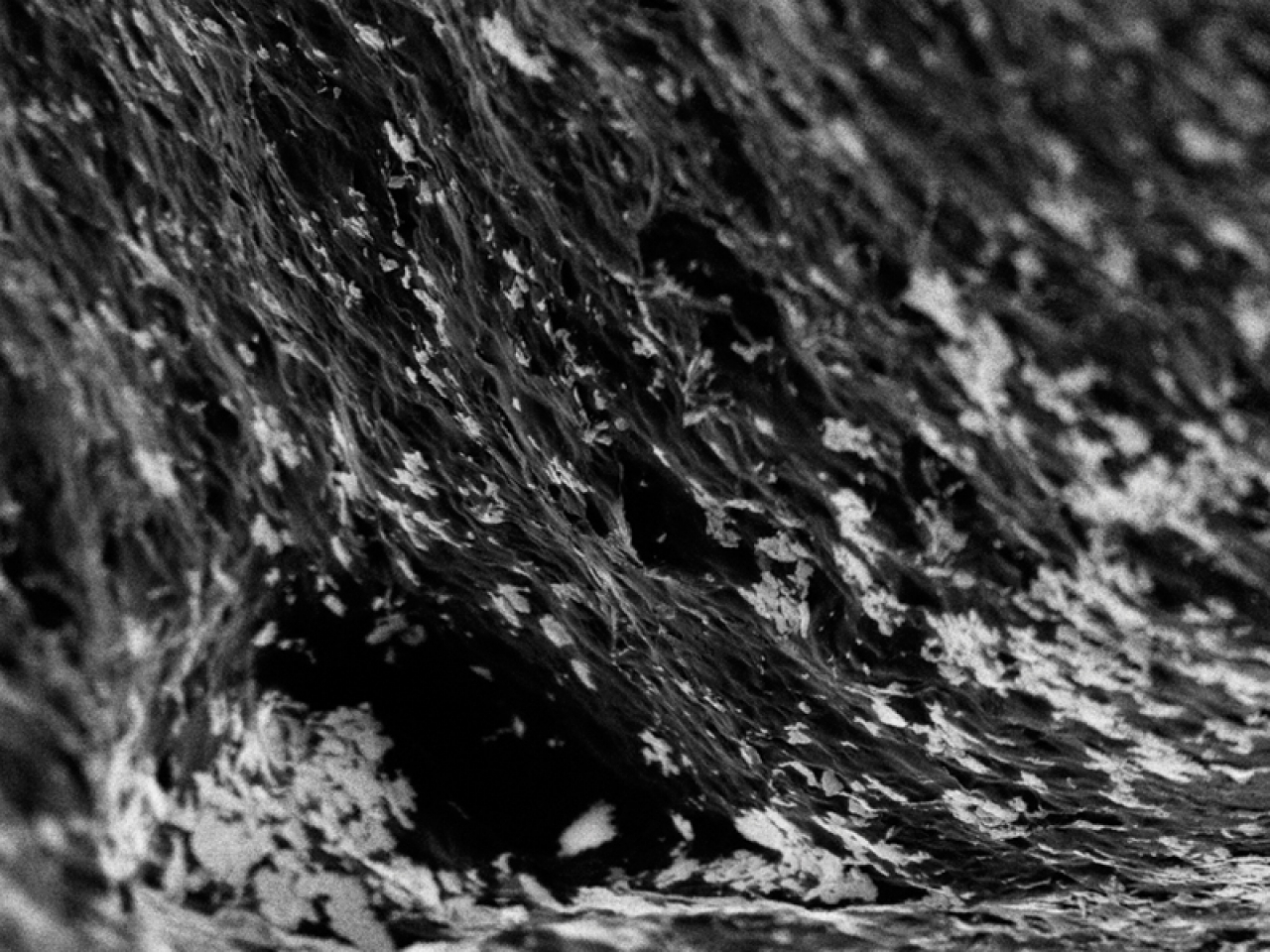 UHV-compatible Chroma ExB FIB column with high-purity ion selection