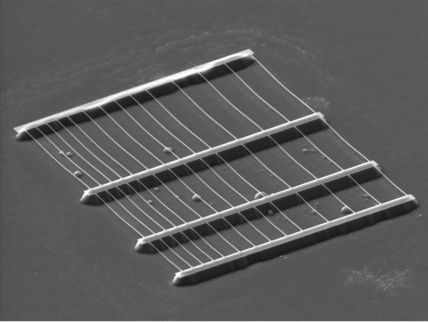 Freestanding silicon nanowires after Gallium implantation and wet etching release