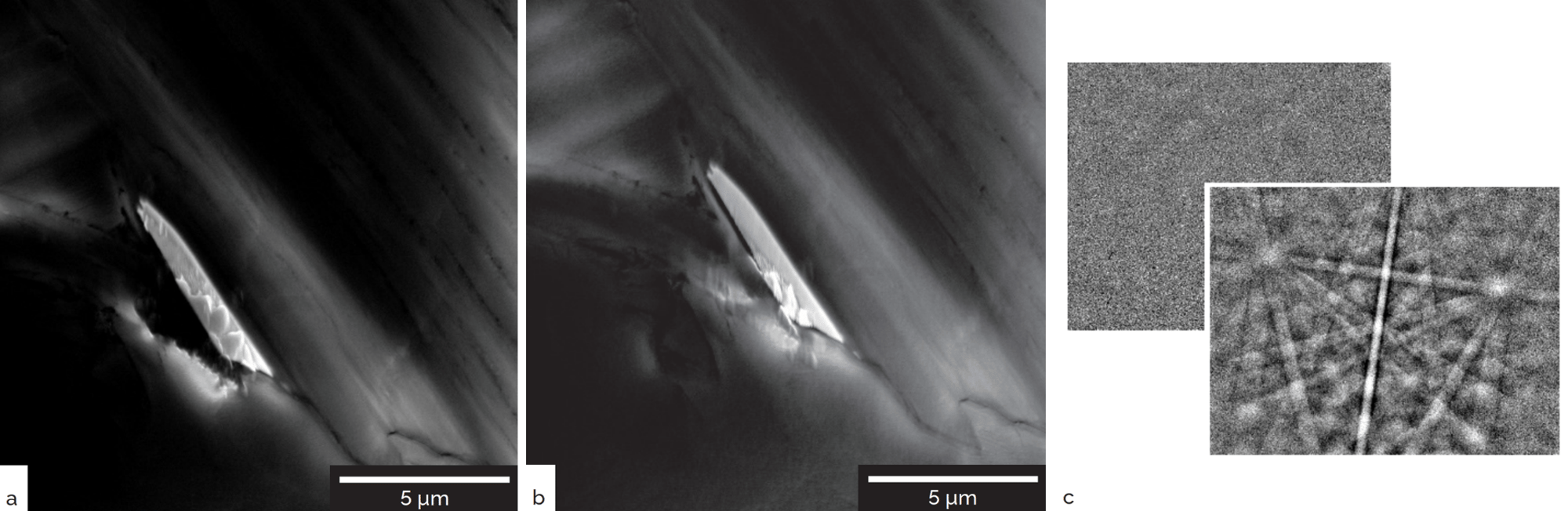 Perform Crystallographic Characterization using EBSD