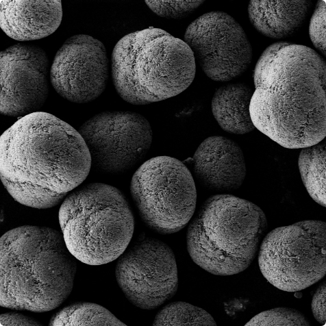 SEM evaluation of NiCoO particles before cathode prep