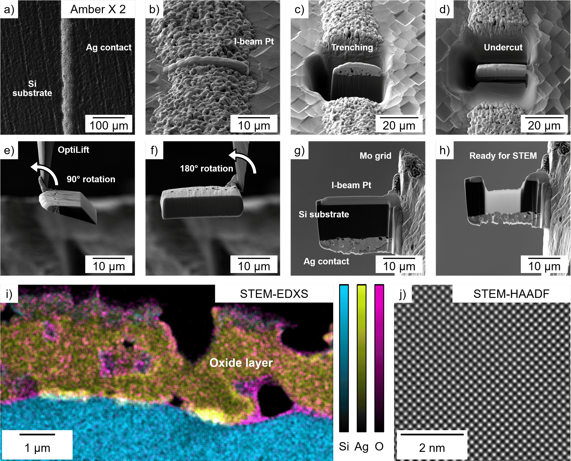 STEM-EDXS elemental map showing oxide layer below Ag metallization in plasma FIB-prepared TEM lamella