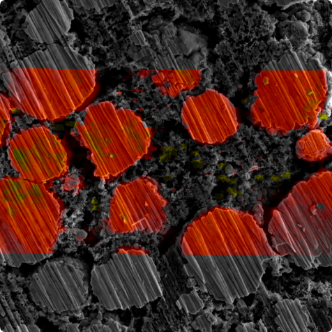 Raman spectroscopy map on SEM image