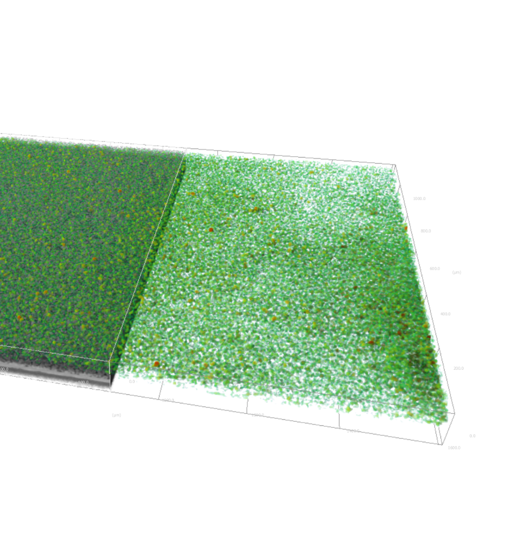 Graphite anode porosity investigation with micro-CT