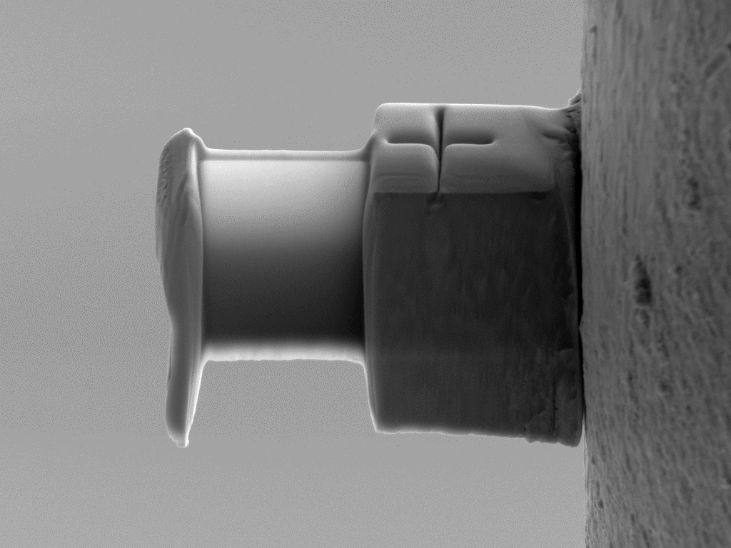 lamella-multiplication-01-1b (1)