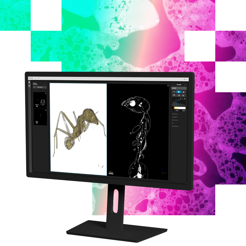 Panthera AI | AI 4D Denoising for Dynamic Micro-CT