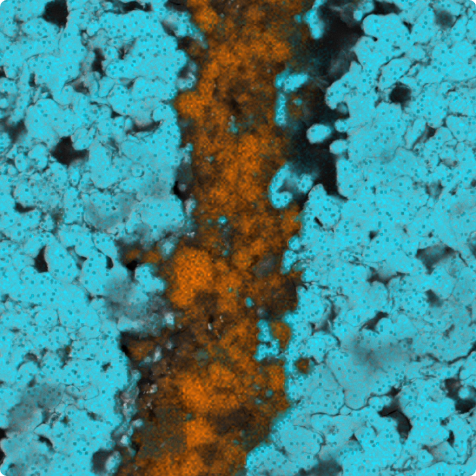 Elemental map of cathode fragment in black mass