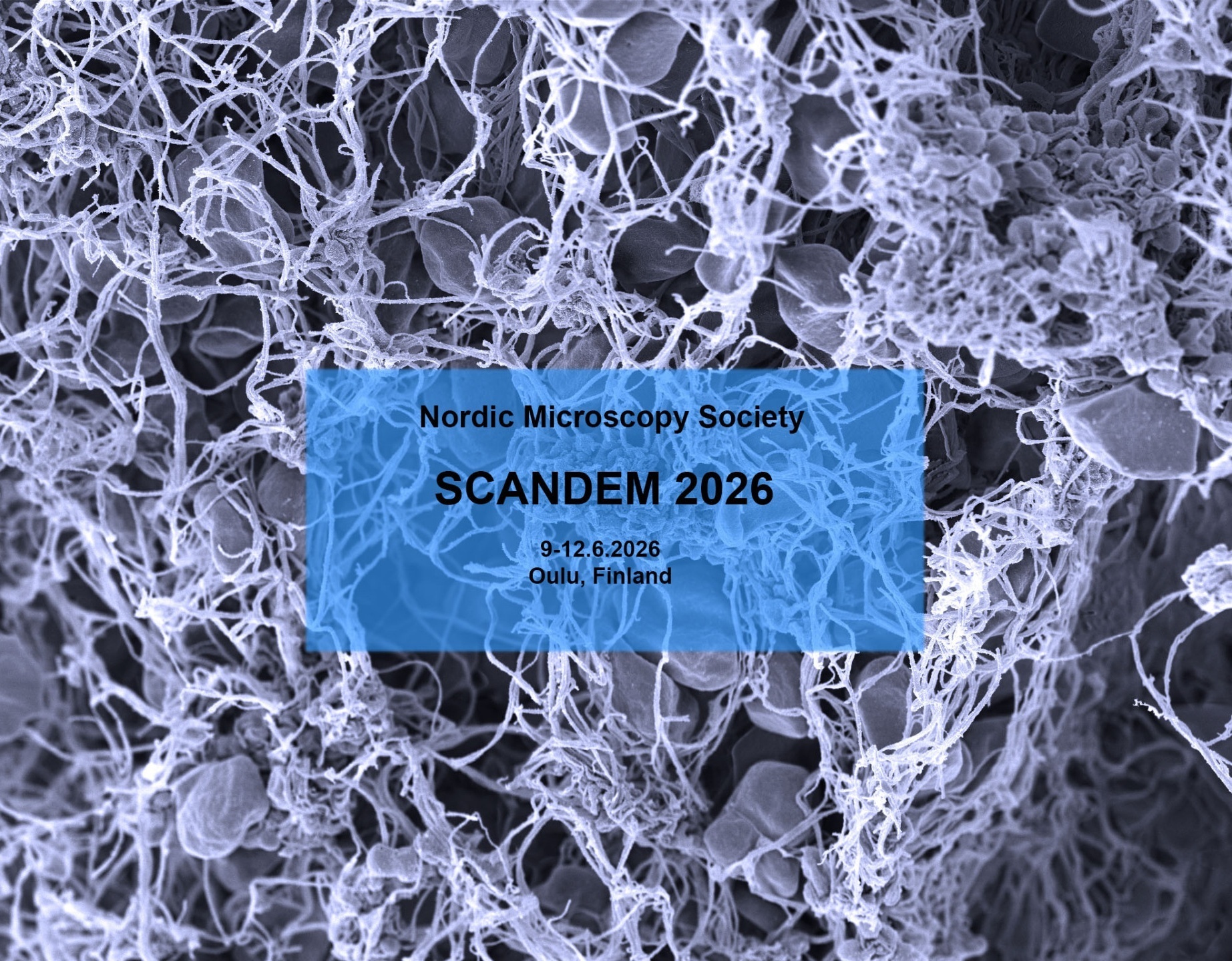 scandem 2026