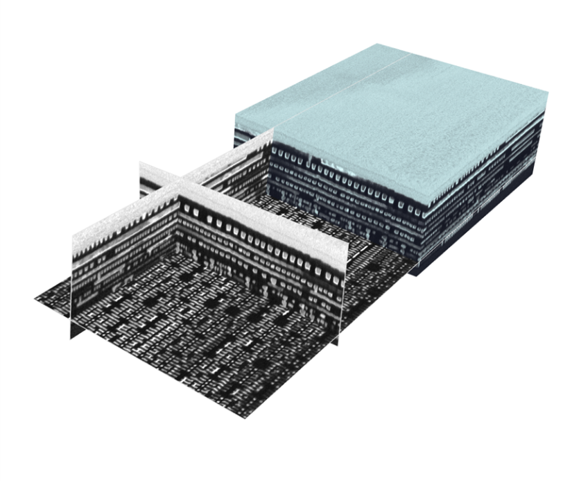 Mouse brain tissue: 5 nm voxel size, 700 slices; high-resolution dataset with stable low-keV imaging.