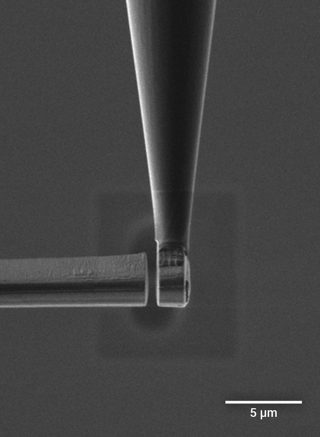 Webinar Announcement: Enhancing Atom Probe Tomography – Precision Preparation with TESCAN FIB-SEM