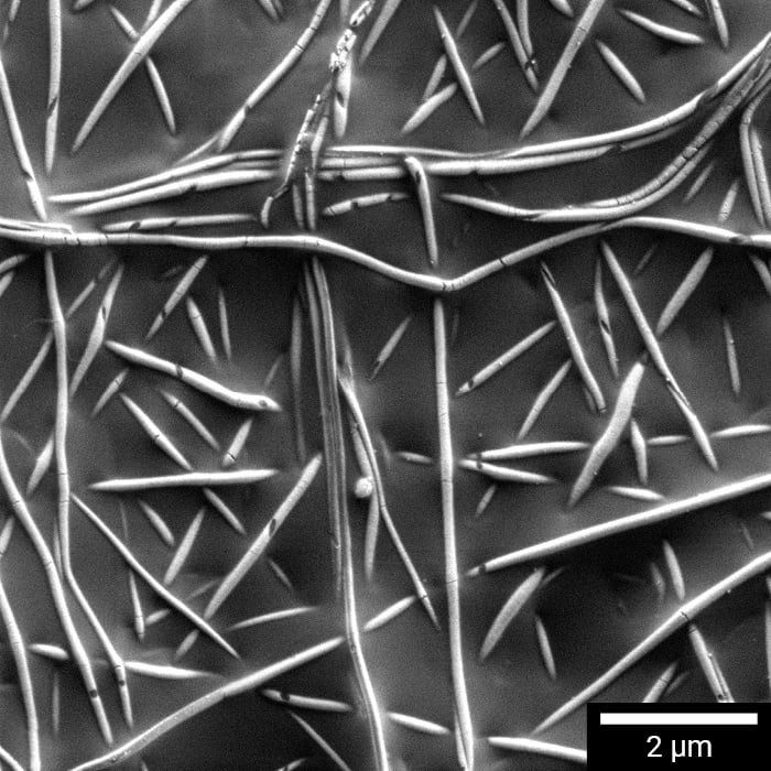 MIRA-XR-performance-v01-bez-loga