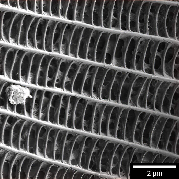 MIRA-XR-performance-v01-bez-loga11