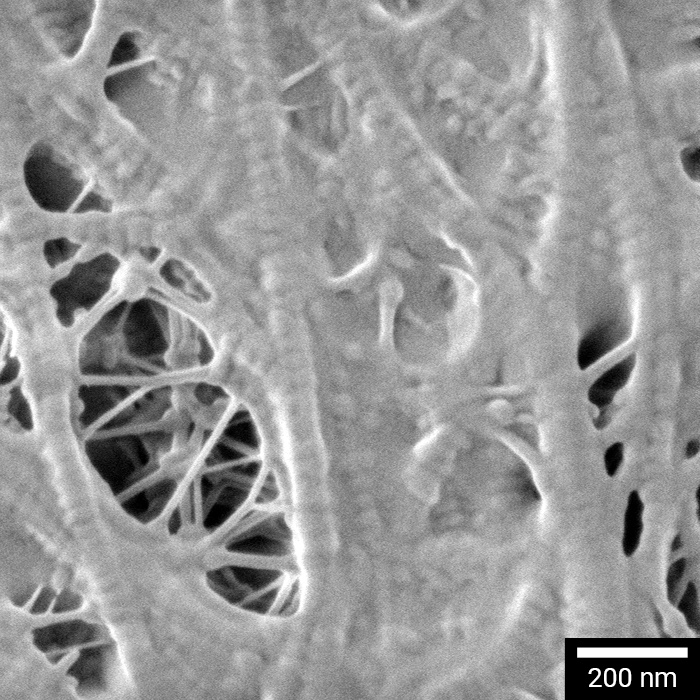 MIRA-XR-performance-v01-bez-loga14