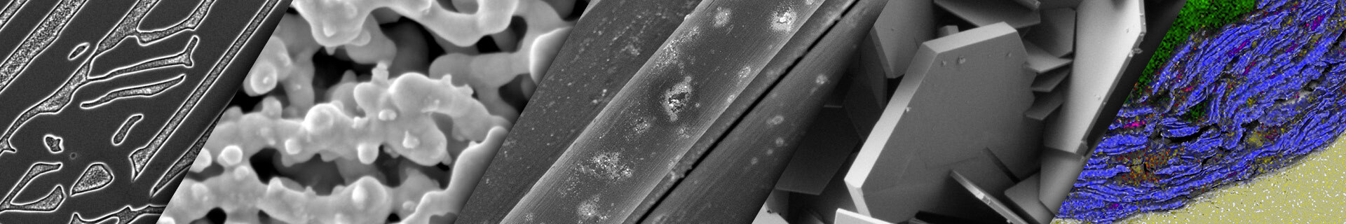 From Routine to Remarkable: Meet TESCAN MIRA XR.