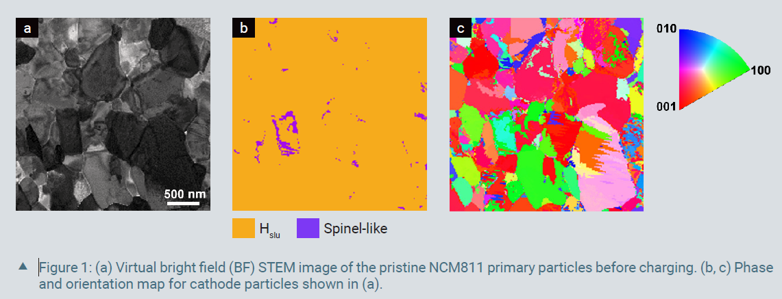 Figure 1: (a) Virtual bright field (BF) STEM image of the pristine NCM811 primary particles before charging. (b, c) Phase and orientation map for cathode particles shown in (a).