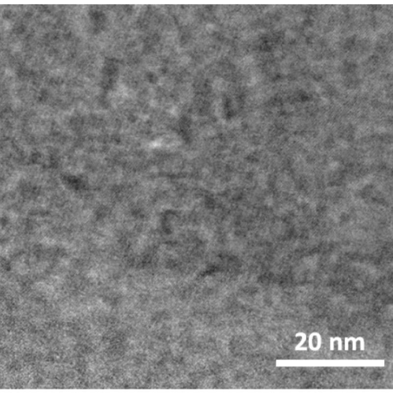 tem-lamella
